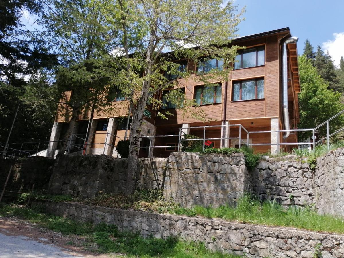 Вила Добро Поле Blagoevgrad Esterno foto